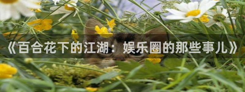 恒行5娱乐
