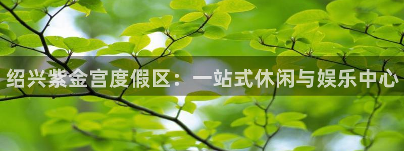 恒行5官网体验k88v典cc